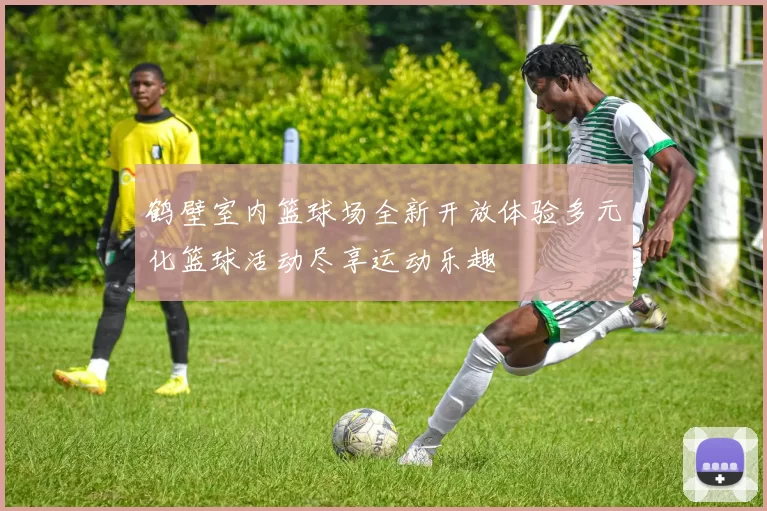 鹤壁室内篮球场全新开放体验多元化篮球活动尽享运动乐趣