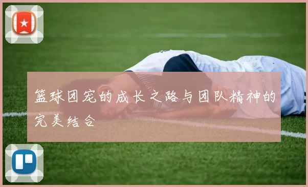 篮球团宠的成长之路与团队精神的完美结合